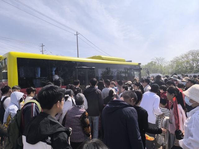 世界风筝公园旅行图片 1