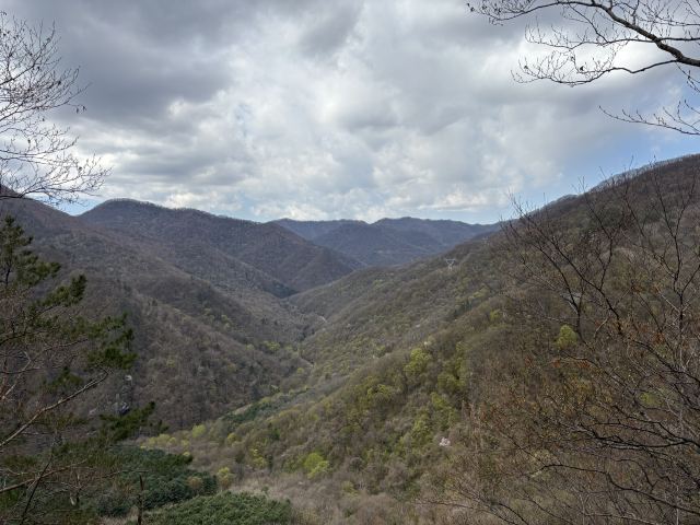 五女峰国家森林公园(暂停开放)旅行图片 5