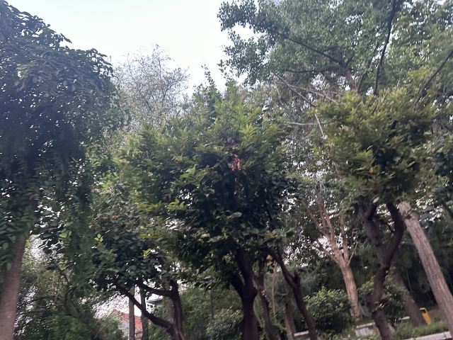 范公亭公园旅行图片 2