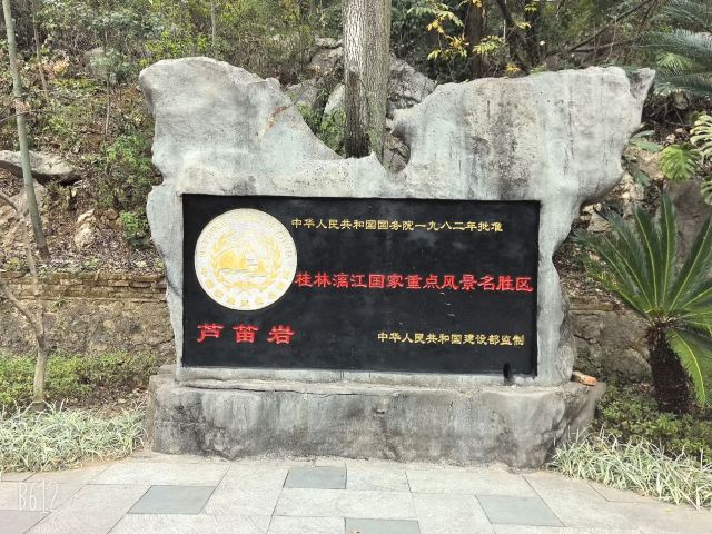 芦笛景区旅行图片 1