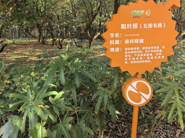 七仙岭全球热带水果博览中心旅行图片 1