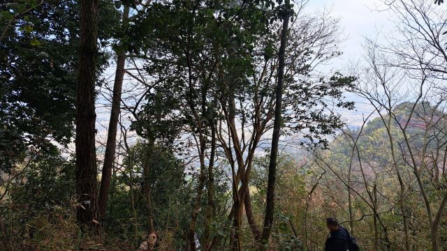 江郎山-廿八都旅游区旅行图片 2