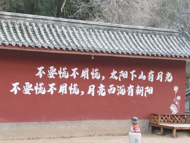 灵岩寺景区旅行图片 3