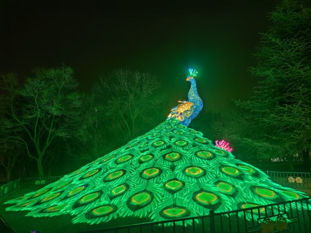 隋唐城遗址植物园旅行图片 3