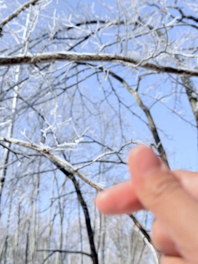 长白山西麓白溪全域漂流风景区旅行图片 5