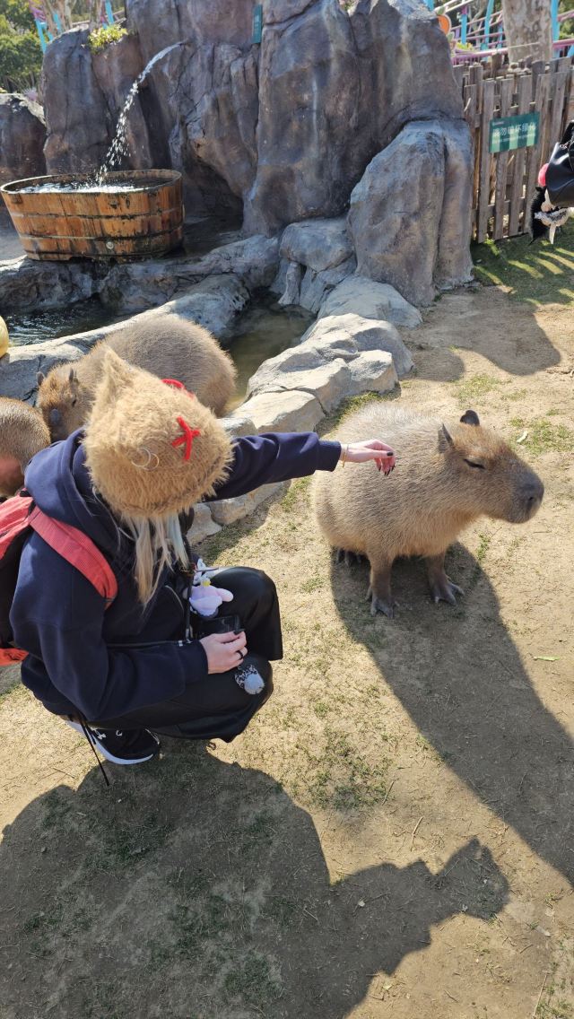 上海野生动物园旅行图片 6