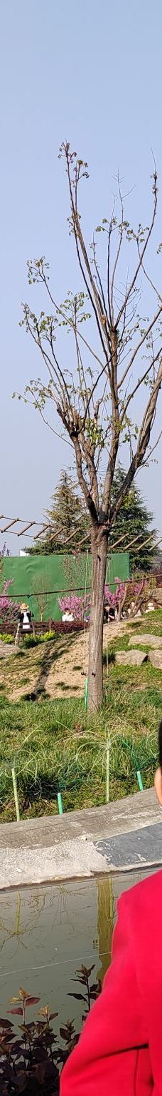 秦岭四宝科学公园-周至-YoYo_1J1P5O3S