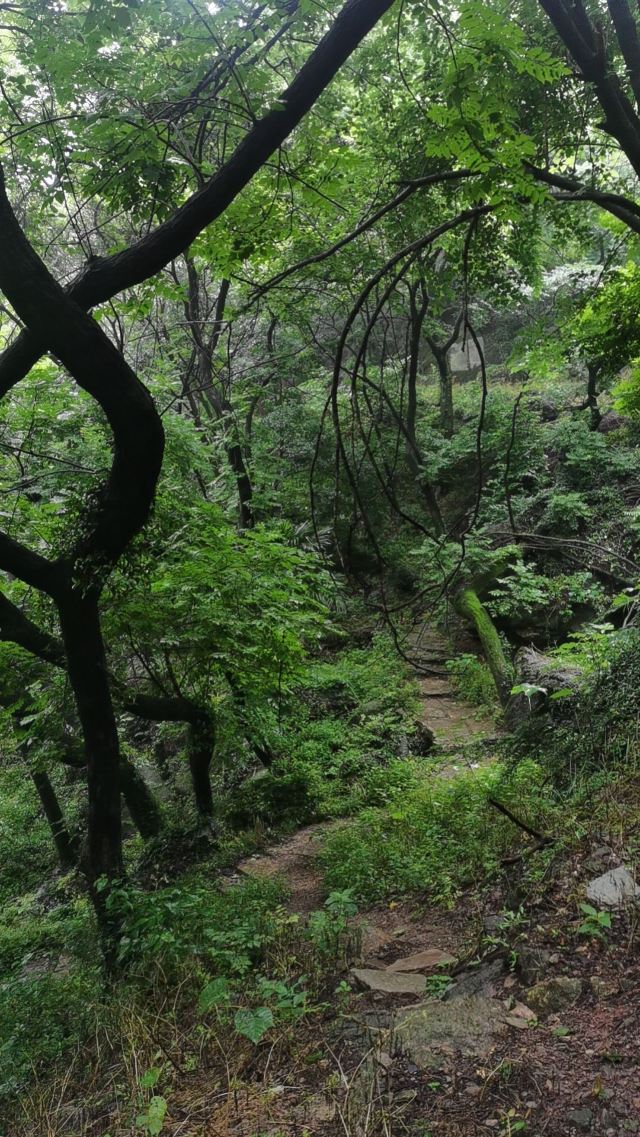 鹿门山旅行图片 1
