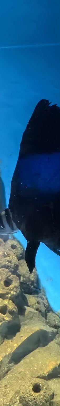 呼和浩特-陌路158