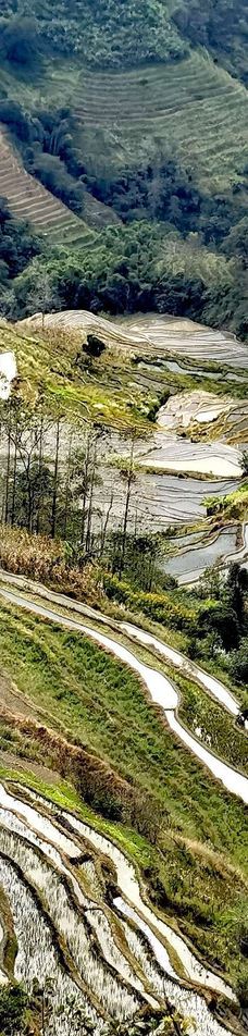 老虎嘴梯田-元阳-YoYo_9O8O5D2S