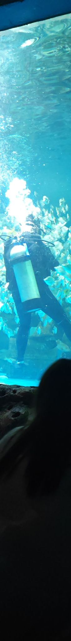 呼和浩特-YoYo_2Q8J5Z3T