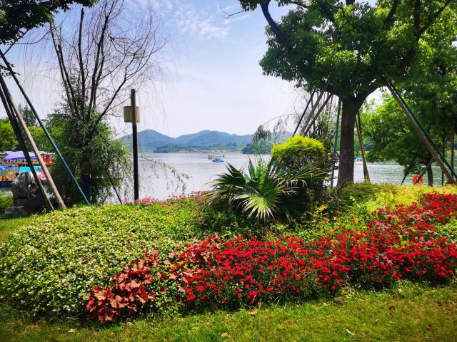 大纵湖旅游度假区旅行图片 9