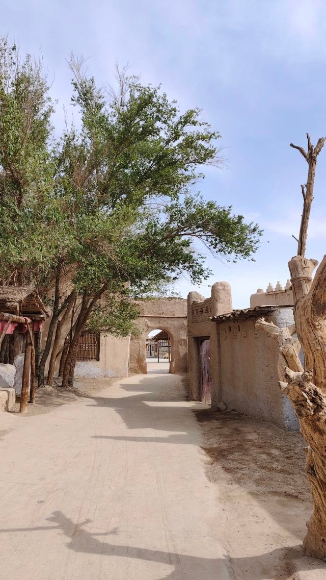 敦煌古城旅行图片 3