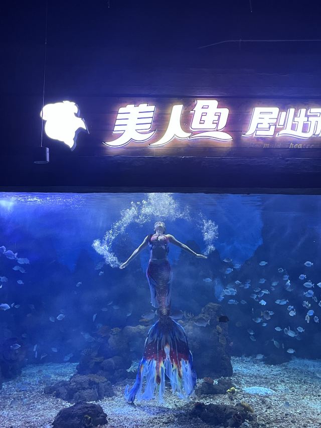 广汉海昌海洋探索馆旅行图片 2