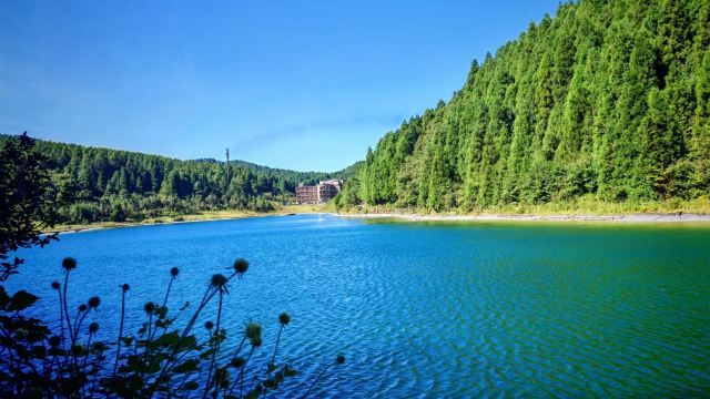 武陵山国家森林公园旅行图片 2