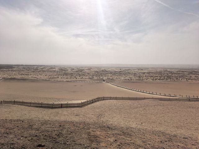 阳关关城旅行图片 2