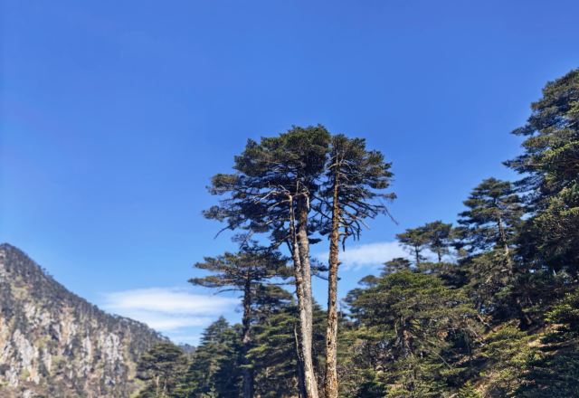 大理苍山世界地质公园旅行图片 5