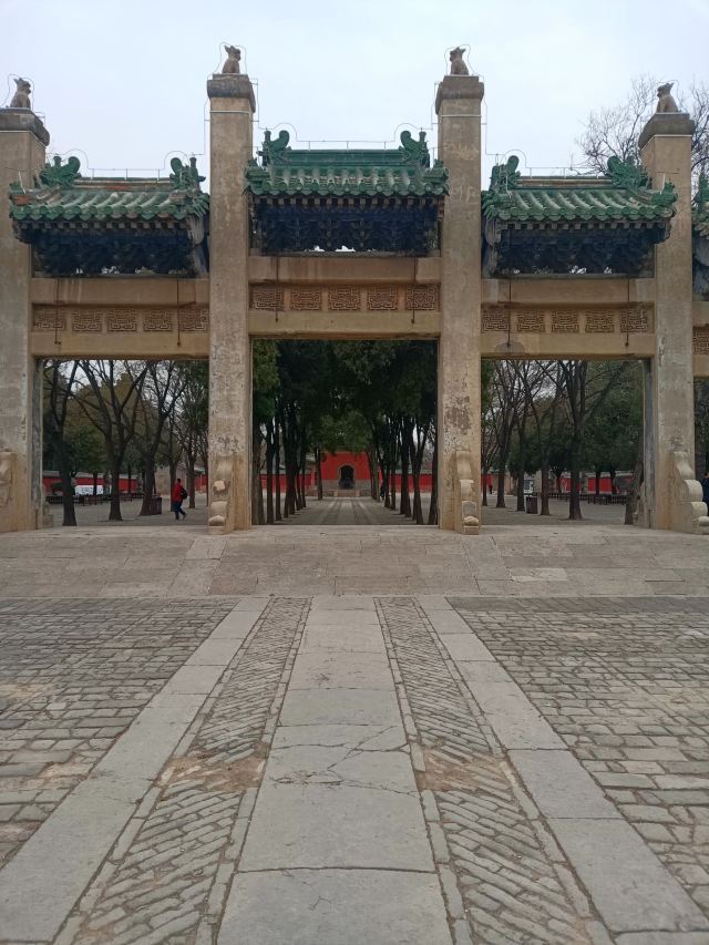袁林旅行图片 2