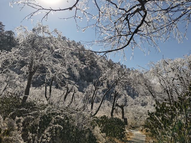 王岗坪旅游景区-露营区旅行图片 4