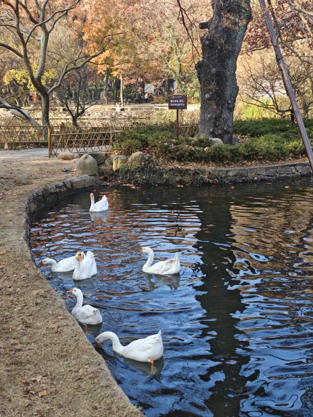 天平山风景名胜区旅行图片 3