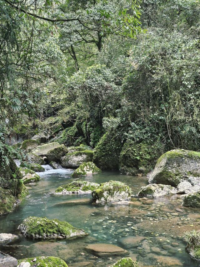 青城山景区旅行图片 1