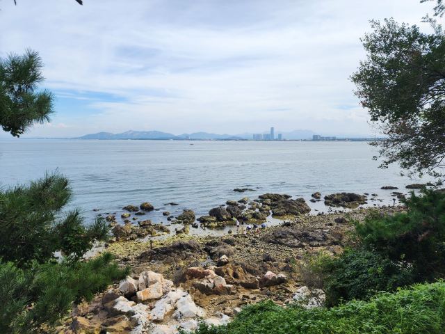养马岛林间花海旅行图片 2