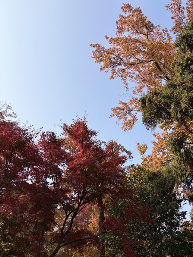 天平山风景名胜区旅行图片 2