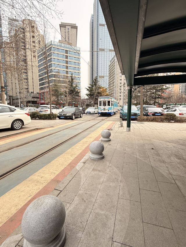 201路百年文旅专列旅行图片 1
