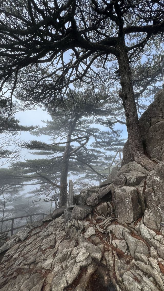 黄山风景区旅行图片 8