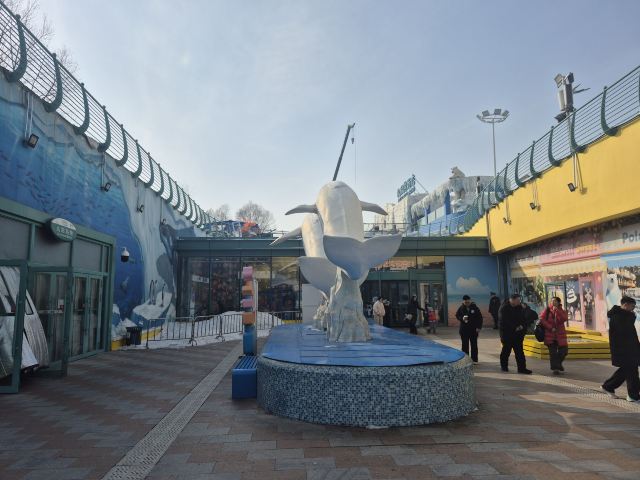 哈尔滨极地公园旅行图片 3