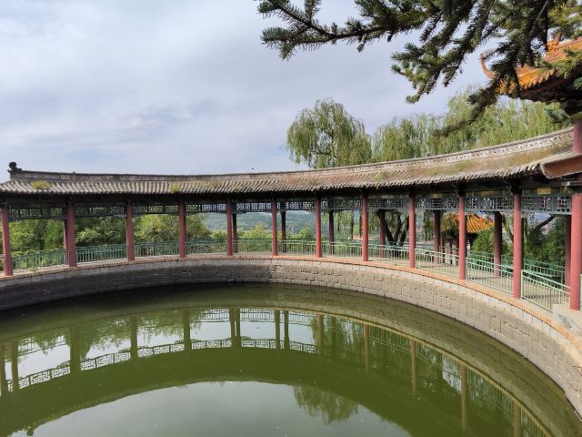 大寨森林公园旅行图片 8