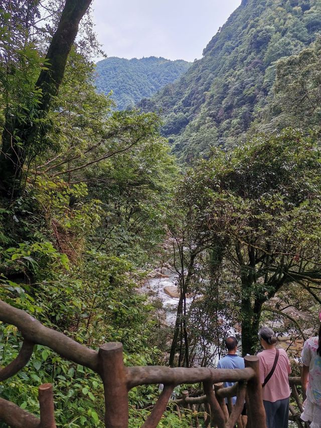 炎陵县神农谷国家森林公园旅行图片 8