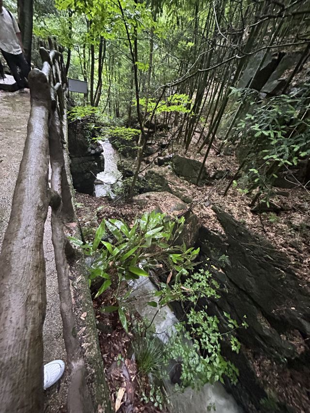 藏龙百瀑旅行图片 3