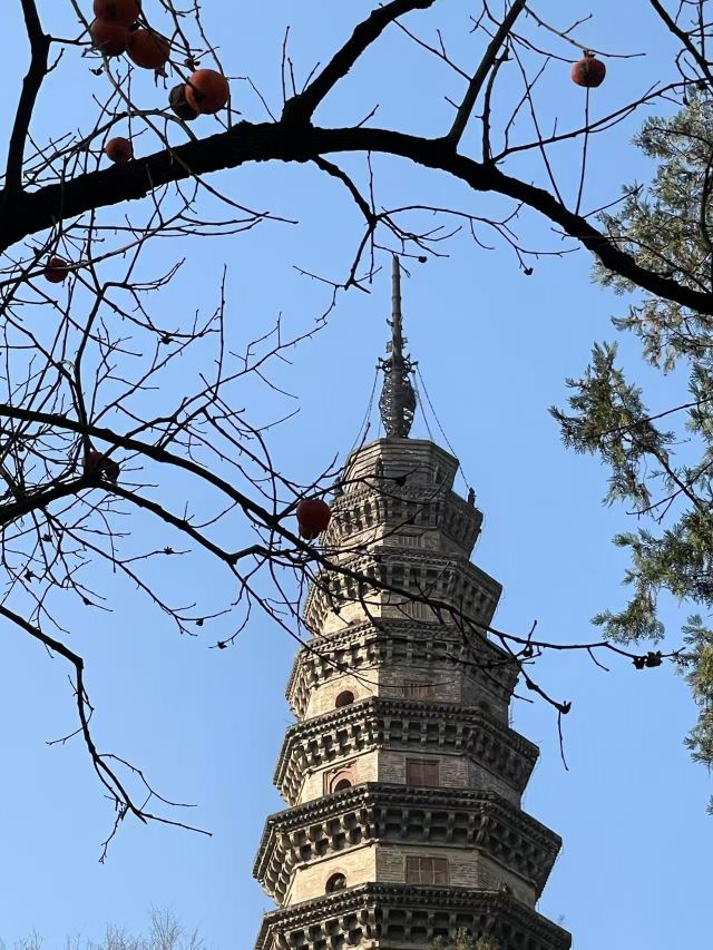 灵岩寺景区旅行图片 2