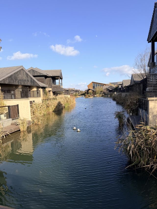 启唐城沉浸乐园旅行图片 1