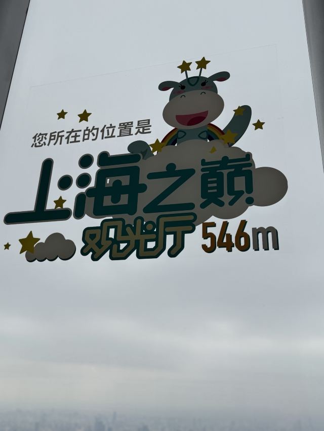 陆家嘴中心绿地旅行图片 6