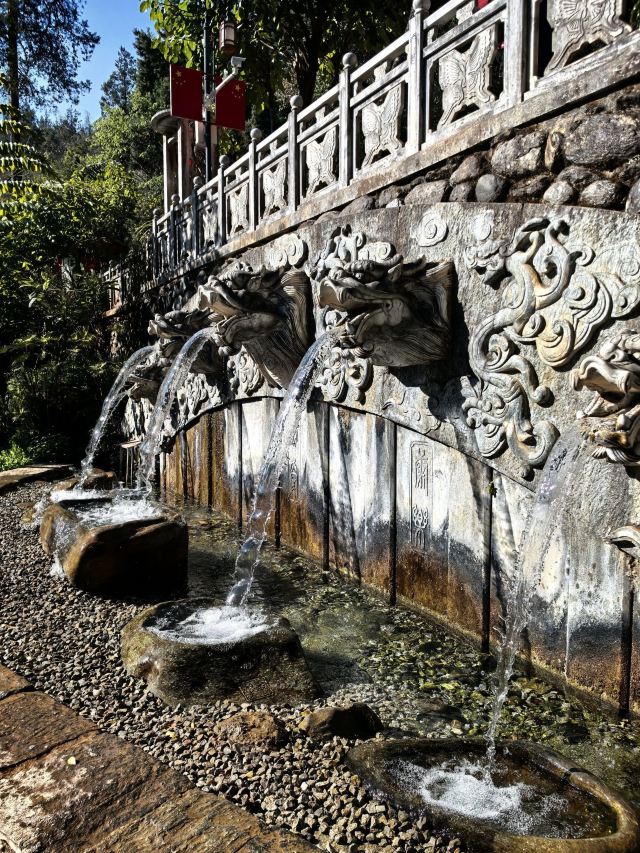 蝴蝶泉旅行图片 3
