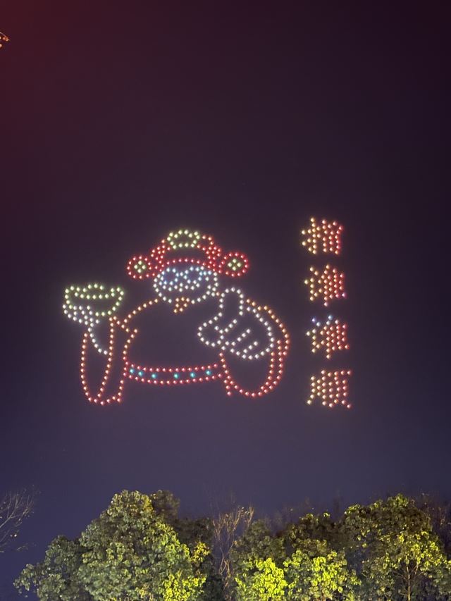 武汉园博园旅行图片 6