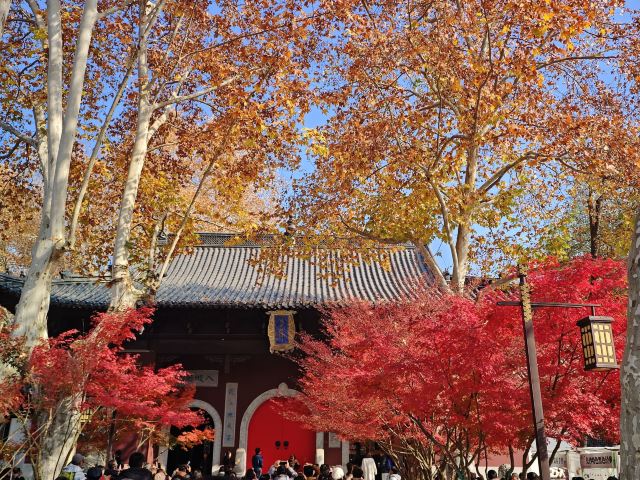 栖霞山风景名胜区旅行图片 3