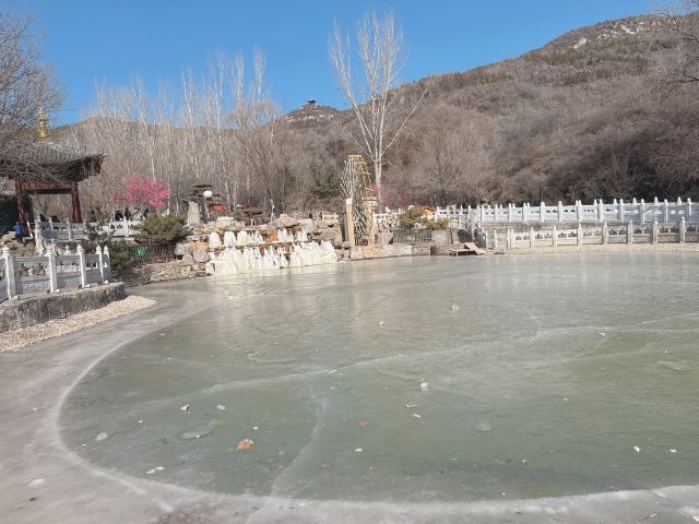 太原动物园旅行图片 1