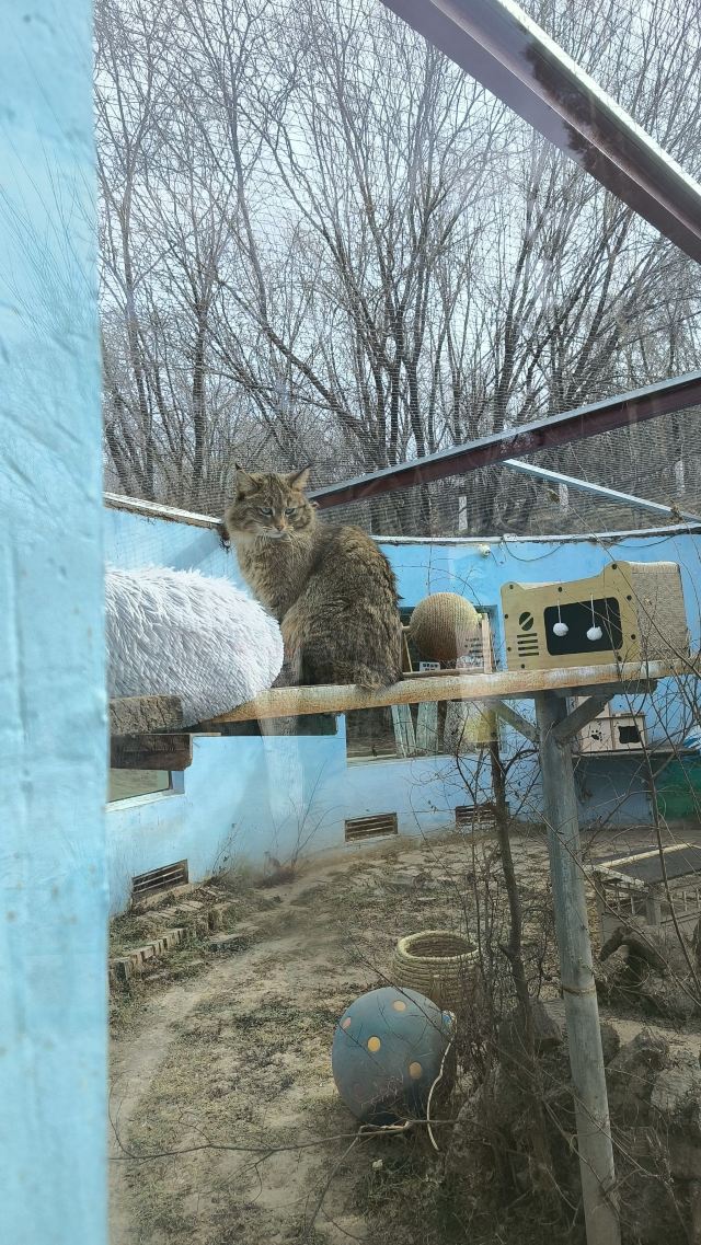 西宁野生动物园旅行图片 2