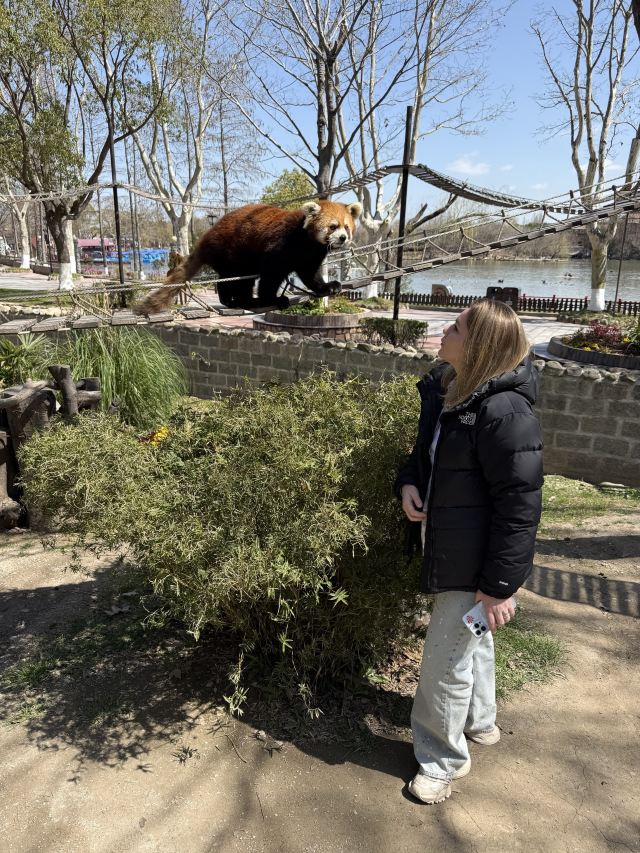 上海野生动物园旅行图片 6