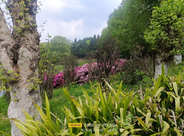 贵阳药用植物园旅行图片 4