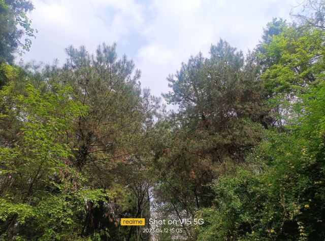 贵阳药用植物园旅行图片 3