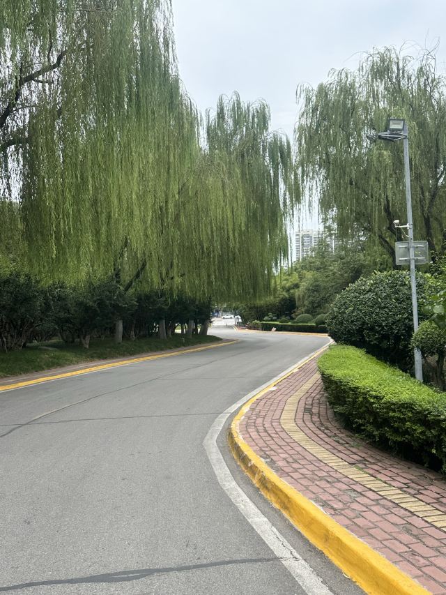 长安先导国际创新人才交流中心·药浴温泉旅行图片 2