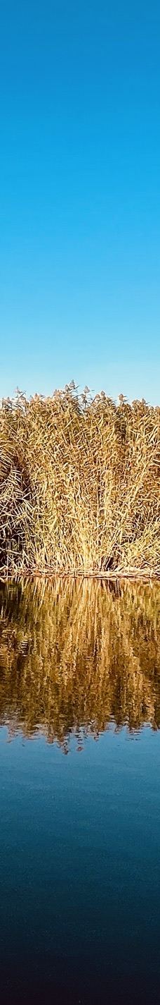 莲海世界-博湖-无厘头2006