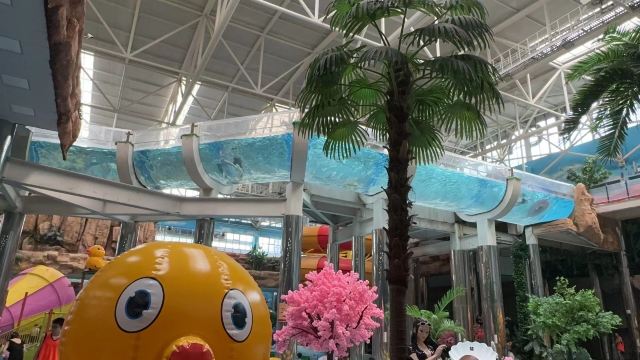 石家庄天山海世界文化旅游城旅行图片 2