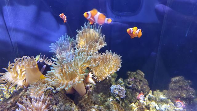 海蓝星梦幻城旅行图片 4