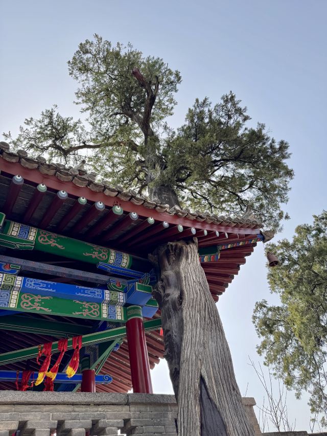 药王山旅行图片 4