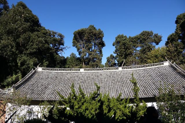 巍宝山景区旅行图片 4